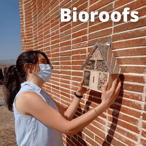 Bioroofs: una contribución universitaria sostenible en la biodiversidad urbana