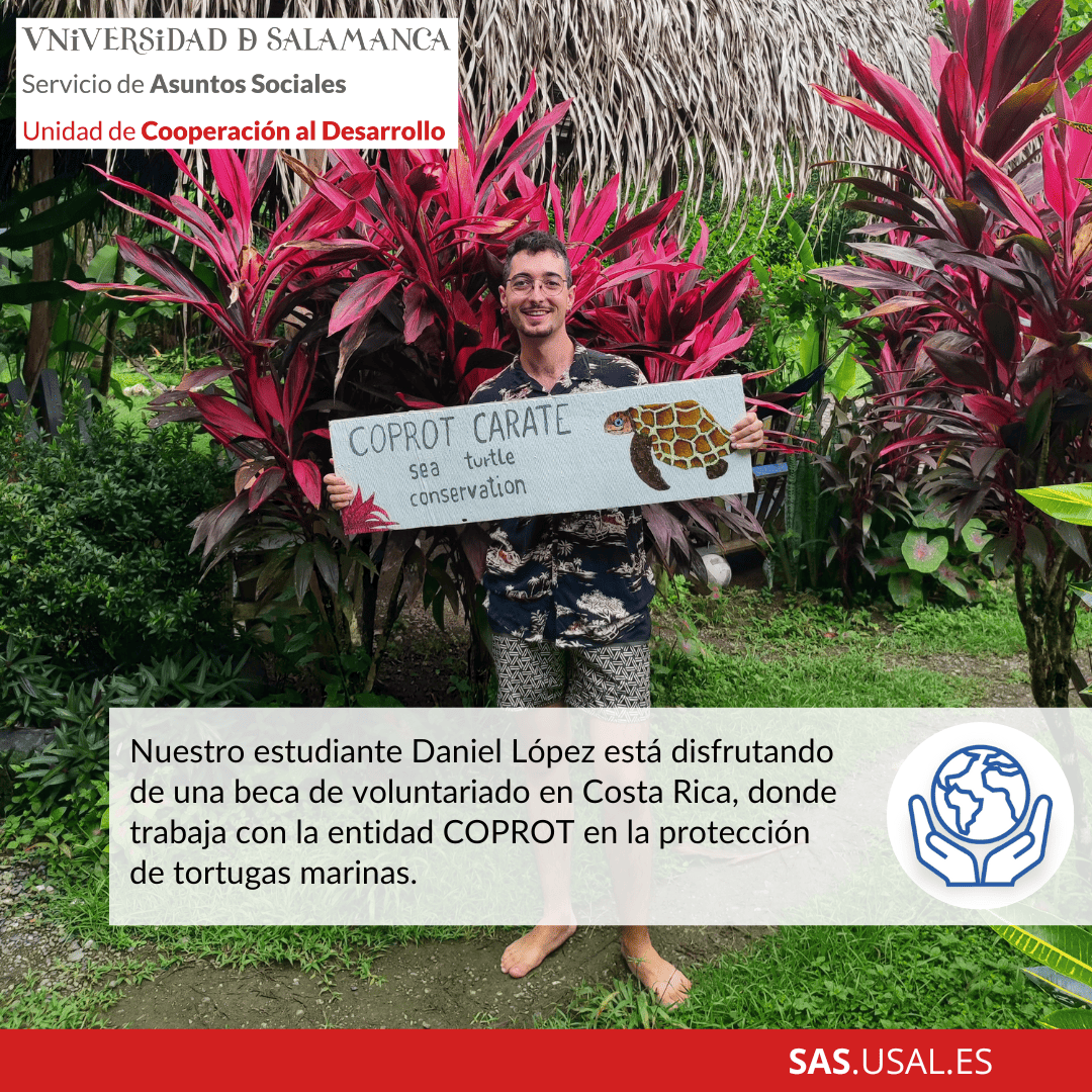 Daniel López - Ayudas MAS 2024