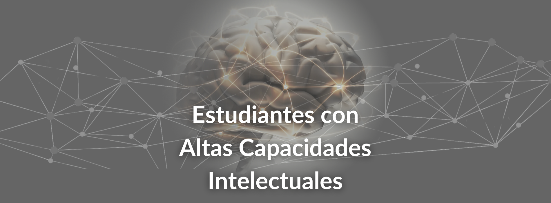 Los desafíos de los estudiantes con altas capacidades intelectuales