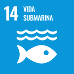 Objetivo de Desarrollo Sostenible 14 - Vida submarina