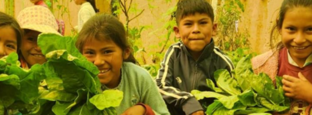 Proyecto en Bolivia 2025