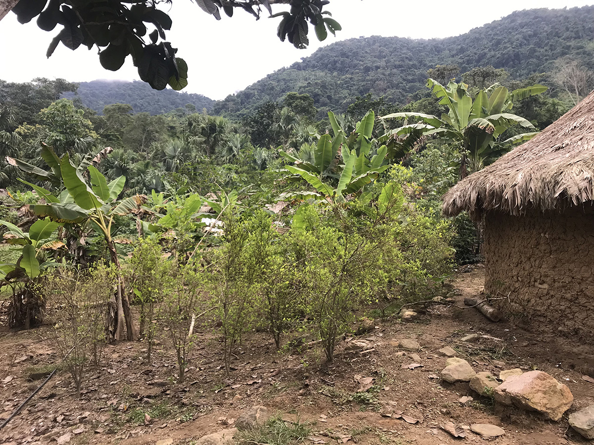 Proyecto en Colombia 2022 Proyecto en Colombia 2022