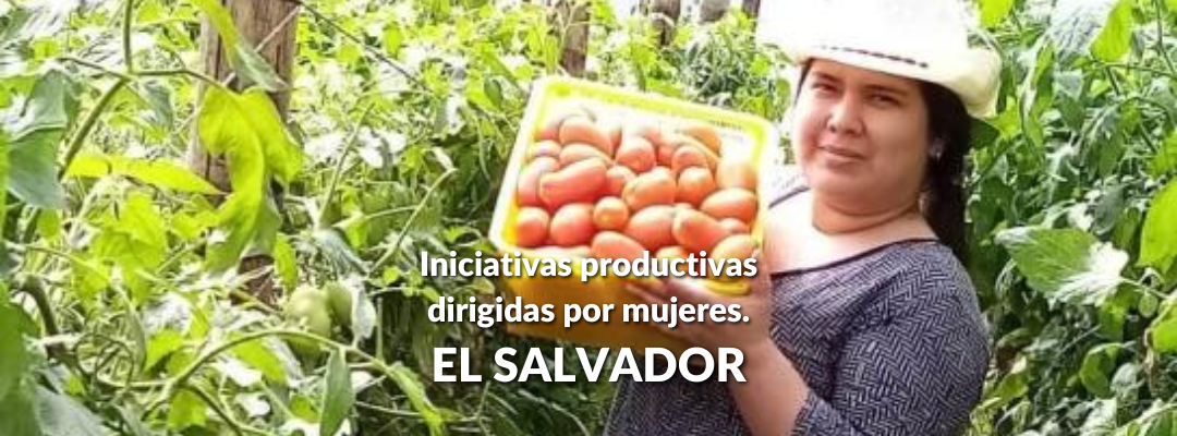 Proyecto en El Salvador 2023