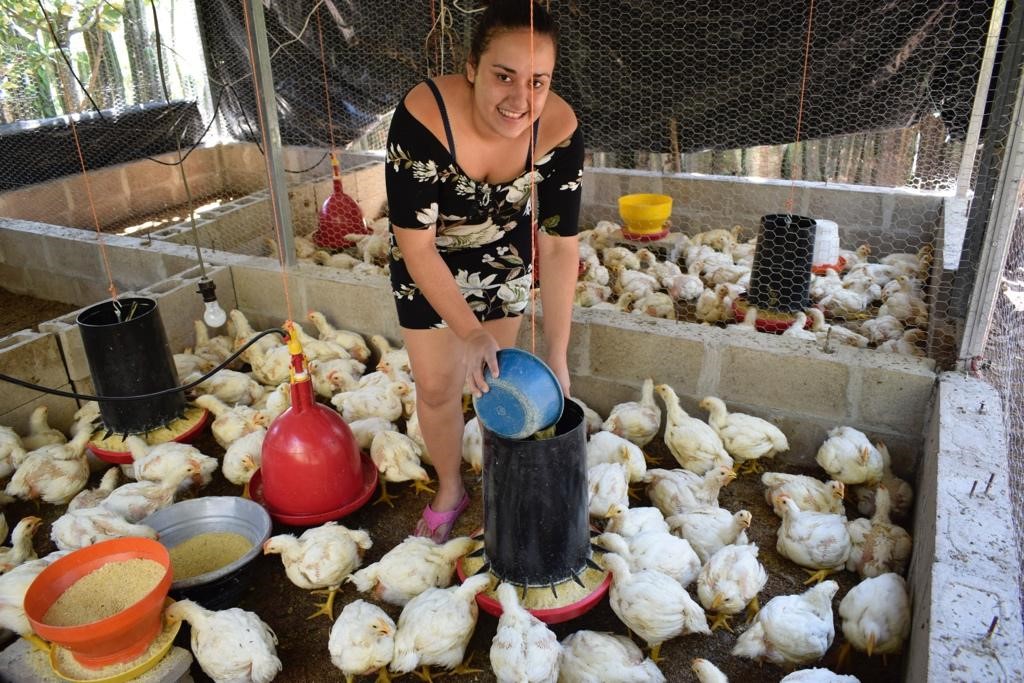 Proyecto en El Salvador 2024