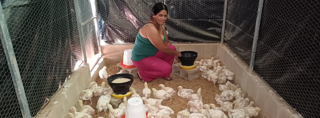 Proyecto en El Salvador 2025