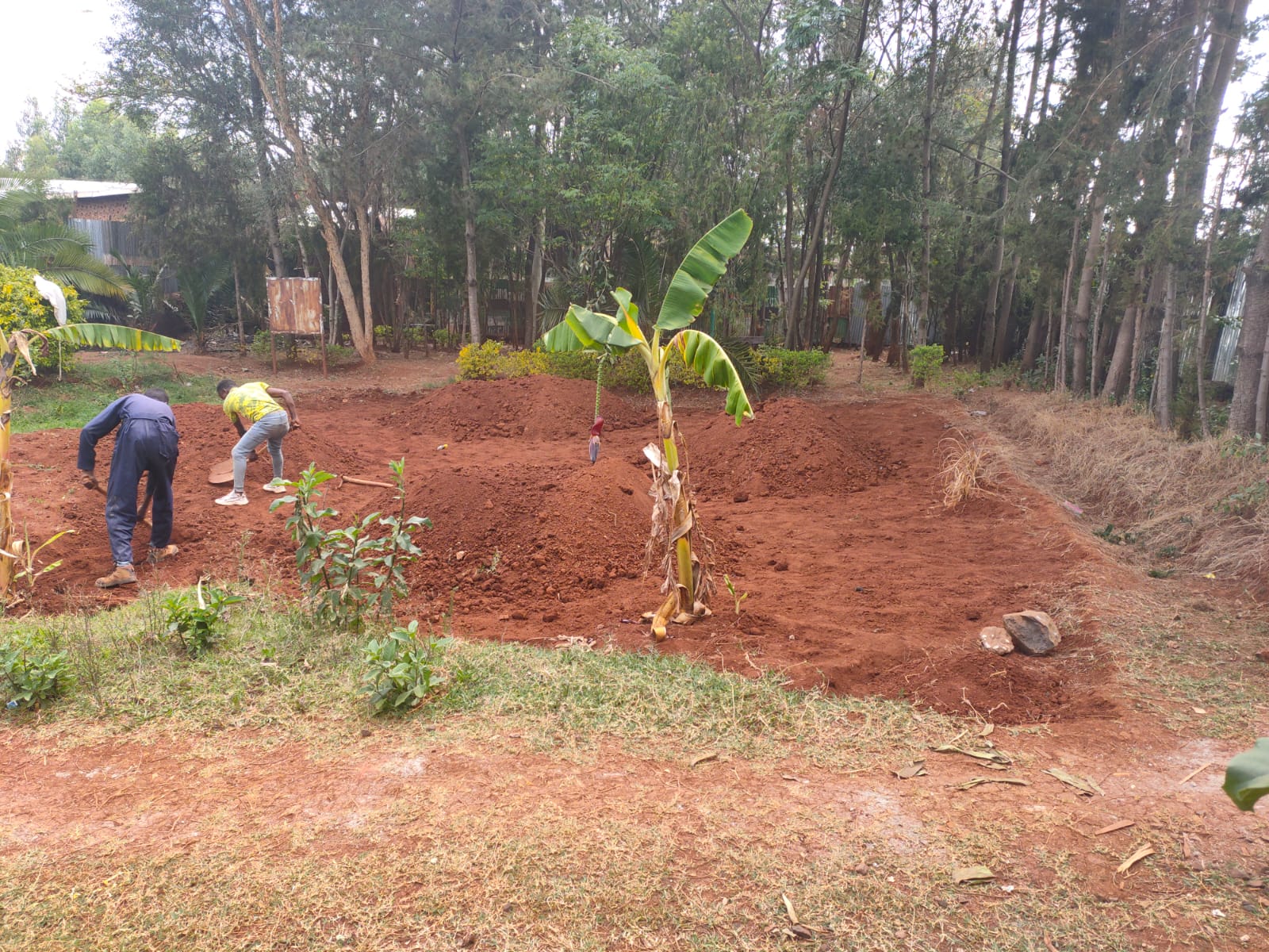 Proyecto en Etiopía 2023