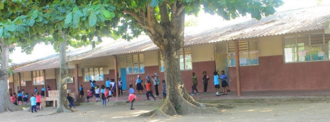 Proyecto en Mozambique 2025