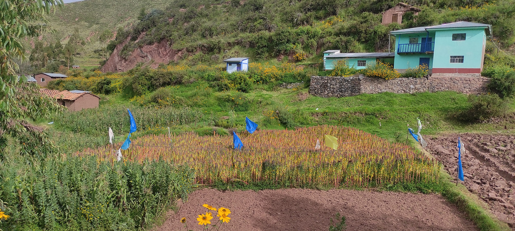 Proyecto en Perú 2022 Proyecto en Perú 2022