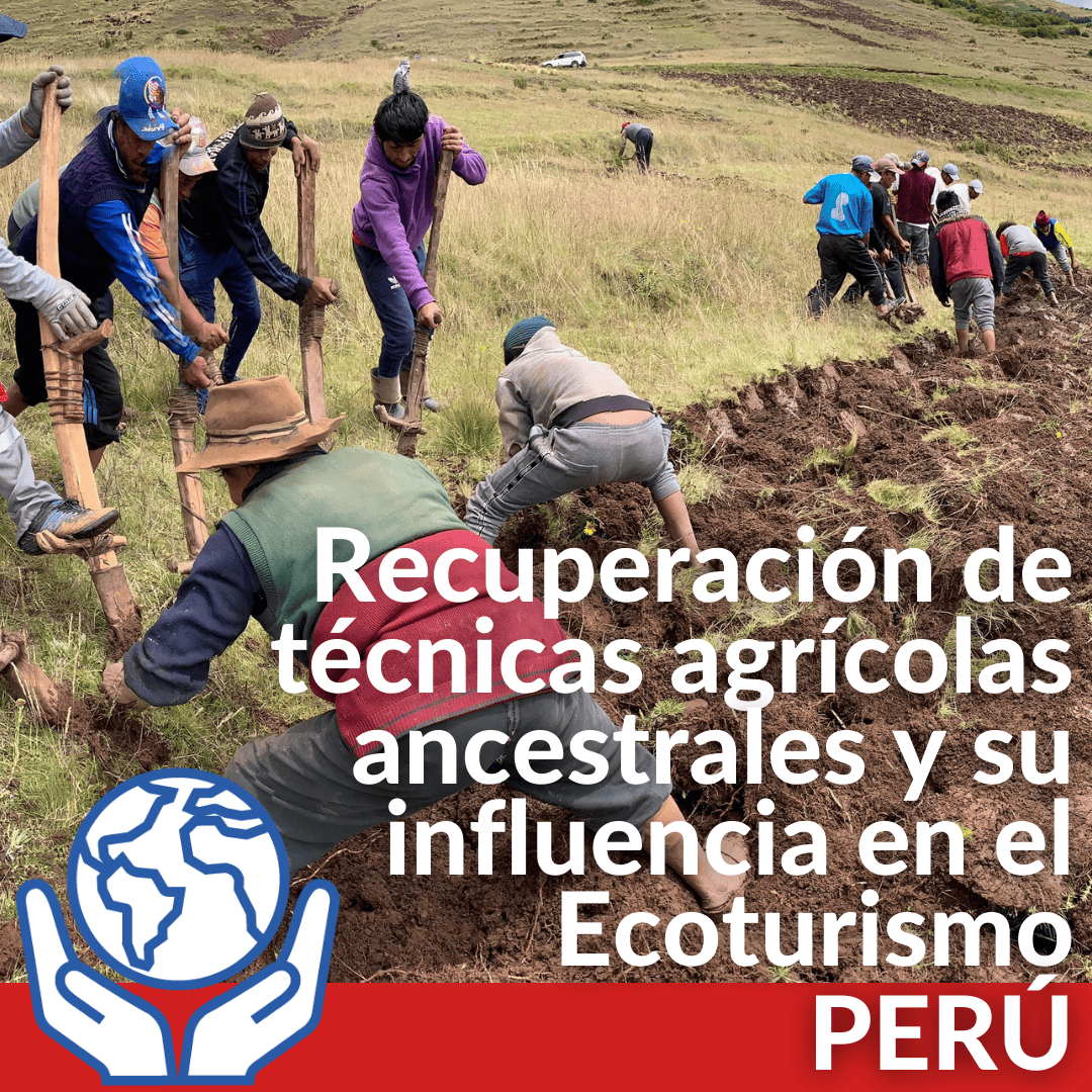 Proyecto en Perú 2022