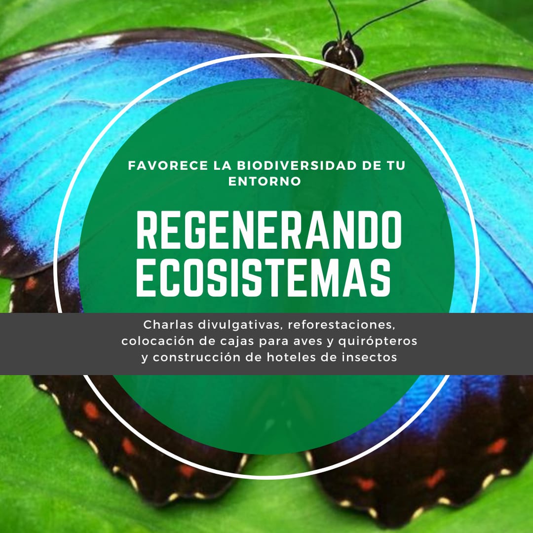 Regenerando ecosistemas