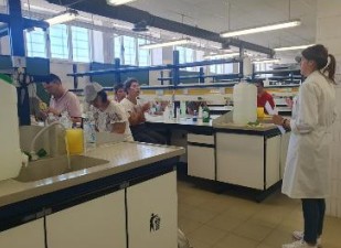 Desarrollo de fichas de seguridad reducidas, en diversos idiomas, de los productos químicos empleados con mayor frecuencia en la sociedad