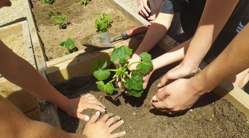 GREENPOINT 5.0: Diseño y desarrollo de un huerto urbano ecológico en el Centro Sagrado Corazón de Jesús (Zamora)