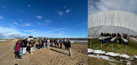 Al ritmo de la granja