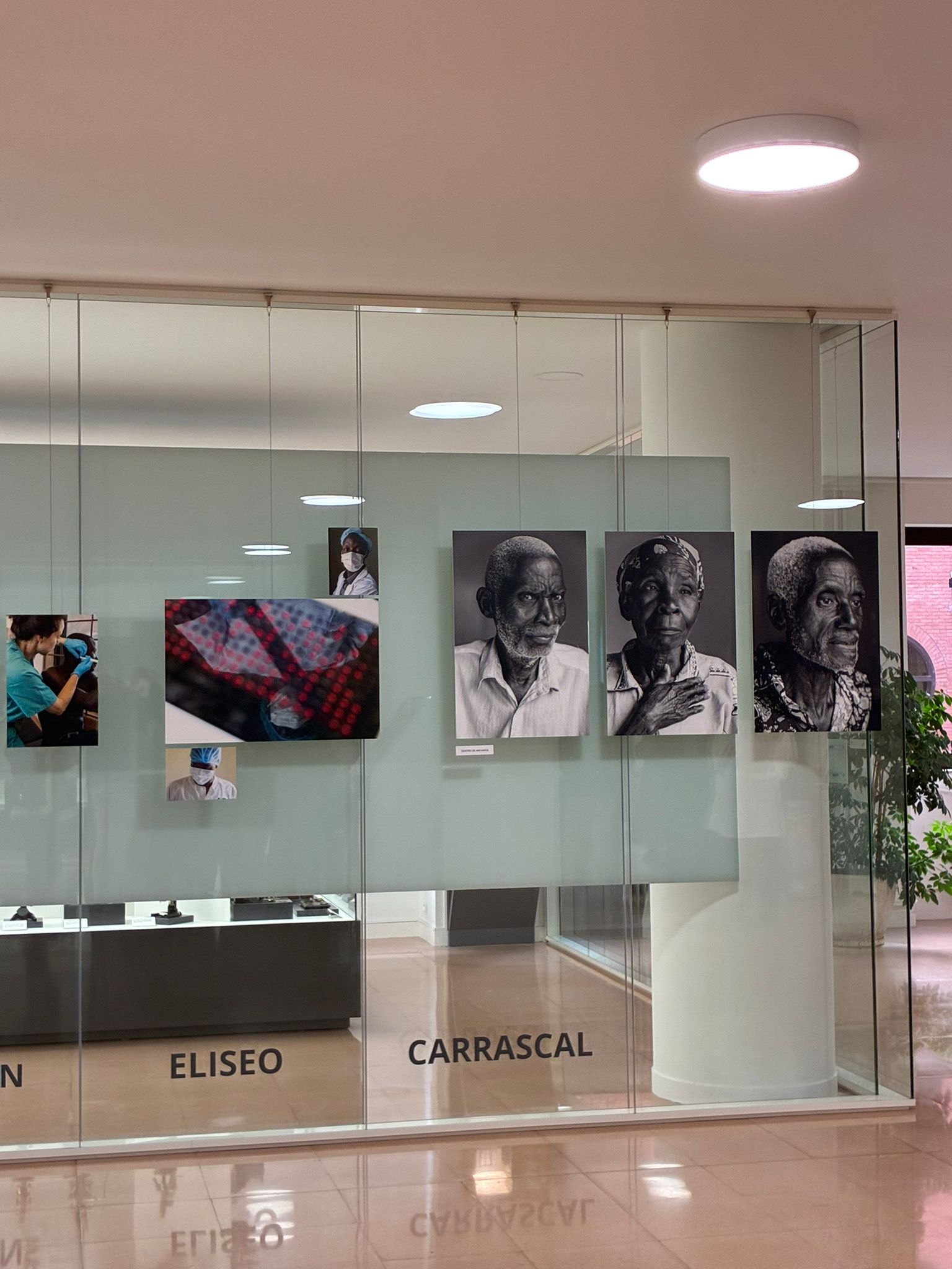 Exposición dermalawi (2) Exposición dermalawi en Facultad de Medicina